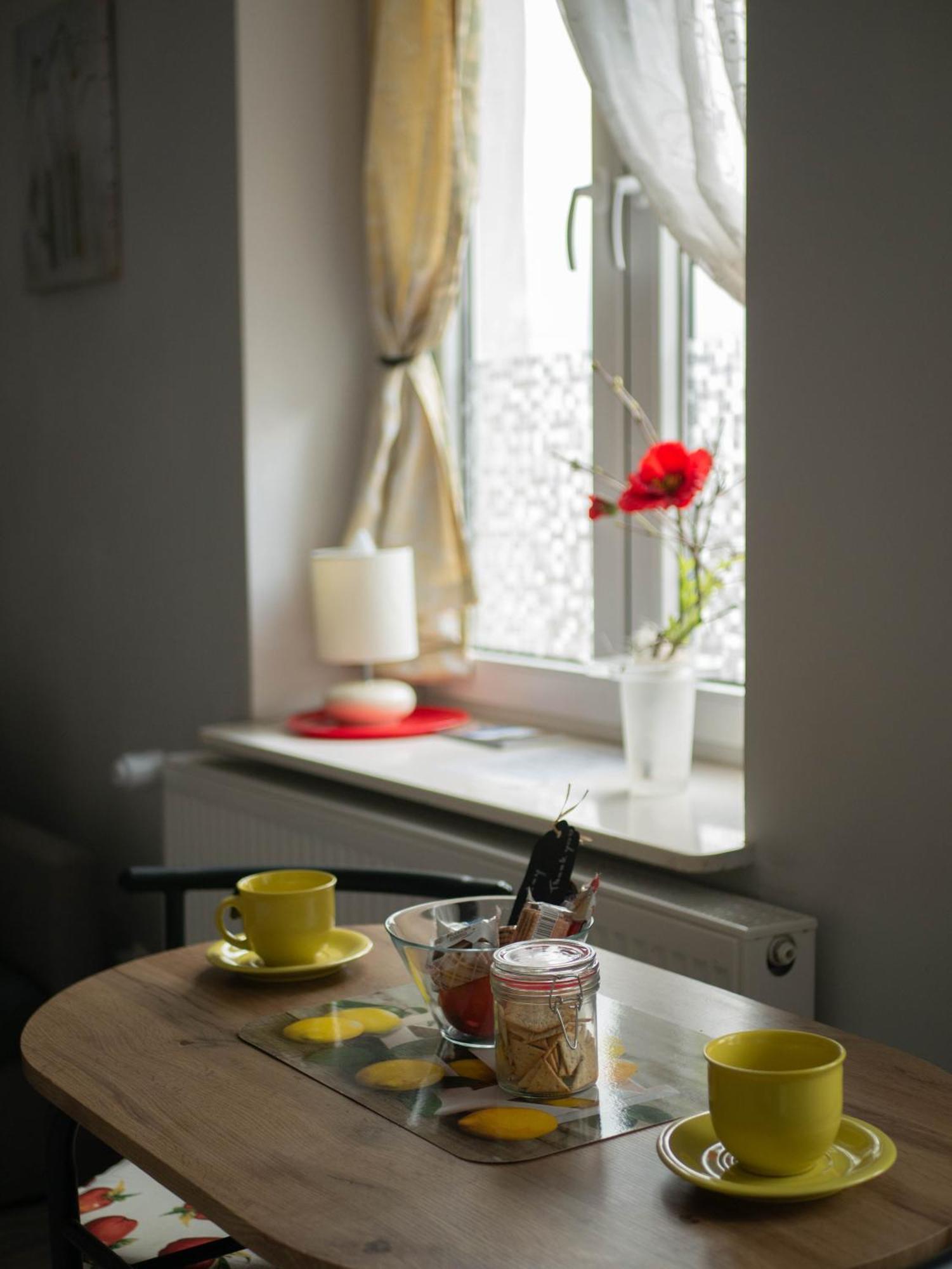 Apartament Przy Synagodze Přemyšl Exteriér fotografie